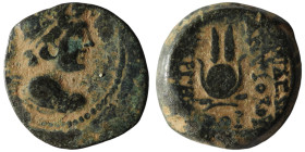 Seleucid Kingdom. Antiochos VII. Euergetes. (138-129 BC). Bronze Æ. Antioch. 19mm, 5,14g