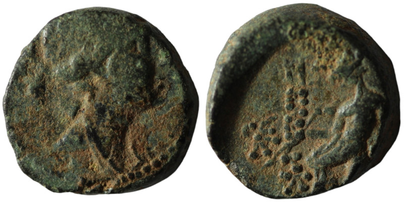 Seleucid Kingdom. Seleukos III. Keraunos. (226-223 BC). Bronze Æ. Antioch. 15mm,...