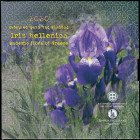 GREECE: 5 Euro (2020) in silver (0,333) commemorating the Endemic Flora of Greece - Iris Hellenica. Color depiction of the flower Iris Hellenica on ob...