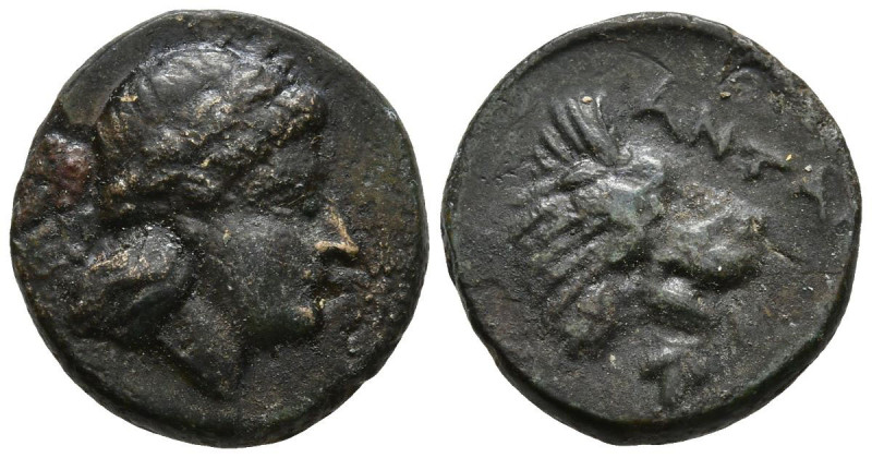 TROAS. Antandros. (4th-3rd centuries BC)
AE Bronze (12.3mm 1.36g)
Obv: Laureat...