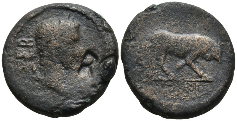 TROAS. Gargara. Augustus (27 BC-14 AD)
AE Bronze (19.2mm 5.32g)
Obv: ΣΕΒ. Laur...