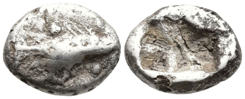 MYSIA. Kyzikos. (Circa 6th Century BC)
AR Diobol (9mm 1.32g)
Obv: Forepart of ...