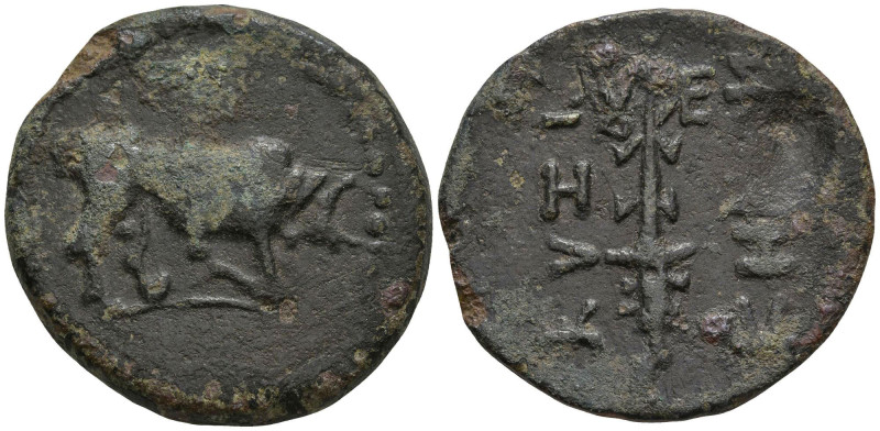 MYSIA. Kyzikos. (2nd-1st centuries BC).
AE Bronze (25.1mm 6.59g)
Obv: Bull butti...