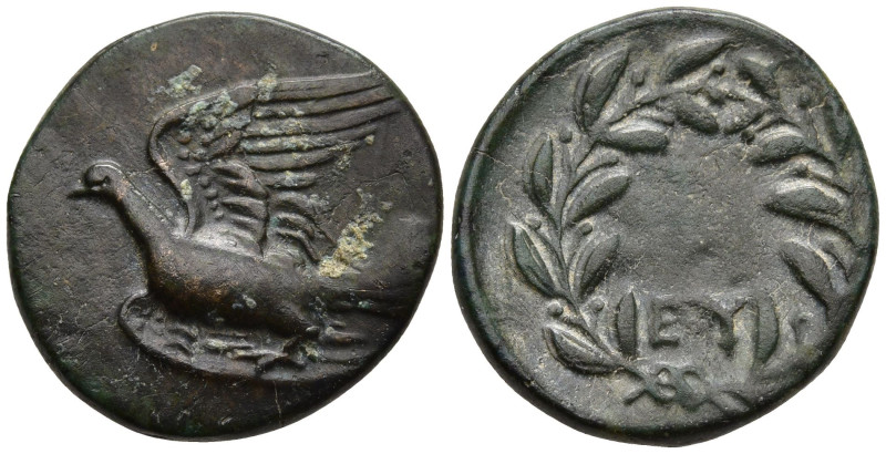 SIKYONIA. Sikyon. (Circa 330-310/05 BC)
AE Dichalkon (18.2mm 3.55g)
Obv: Dove ...