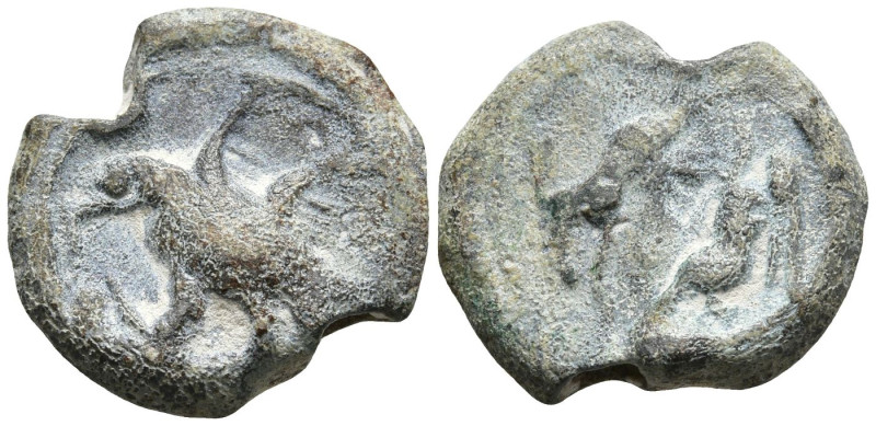 Lead Seal
(3.58g 14.4mm diameter)