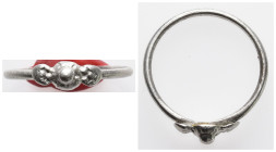 Ancient ring
(1.9g 25.8mm diameter)