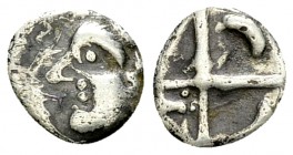 Volcae Tectosages AR Obol, c. 100-50 BC 

Celtic Gaul, Volcae Tectosages. AR Obol "à la croix" (8-9 mm, 0.44 g), 100-50 BC. Type "à la tête cubiste"...