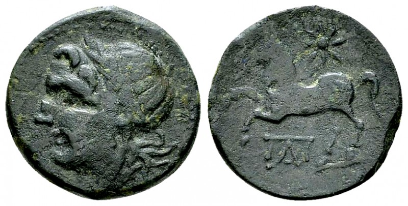Arpi AE16, c. 325-275 BC 

Apulia, Arpi. AE16 (3.72 g), c. 325-275 BC.
Obv. L...