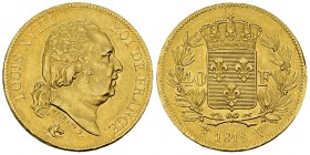 Louis XVIII, AV 40 Francs 1818 W, Lille 

France. Louis XVIII (1815-1824). AV 40 Francs 1818 W (12.88 g), Lille.
Gad. 1092.

SUP.