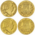 Louis XVIII, Lot of 2 AV 20 Francs 1818/1819 

France, Restauration. Louis XVIII. Lot of 2 (two) AV 20 Francs 1818 W and 1819 A (6.38 and 6.38 g).
...