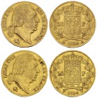 Louis XVIII, Lot of 2 AV 20 Francs 1824 A/W 

France, Restauration. Louis XVIII. Lot of 2 (two) AV 20 Francs 1824 A and 1824 W (6.40 and 6.46 g).
G...