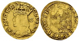 Napoli, Carlo V, AV Ducato, molto rara 

Napoli. Carlo V (1516-1556). AV Ducato (23-24 mm), sigla G (Gazella).
Av. CAROLVS ROMANOR*REX, Busto giova...