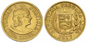 Peru AV Libra 1917 

Peru, Republic. AV Libra 1917 (7.98 g).
KM 207.

Extremely fine.
