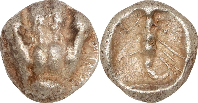 CARIA. Mylasa. EL 1/48 Stater (0.30 gms), Mid 6th Century B.C. NGC Ch EF, Strike...