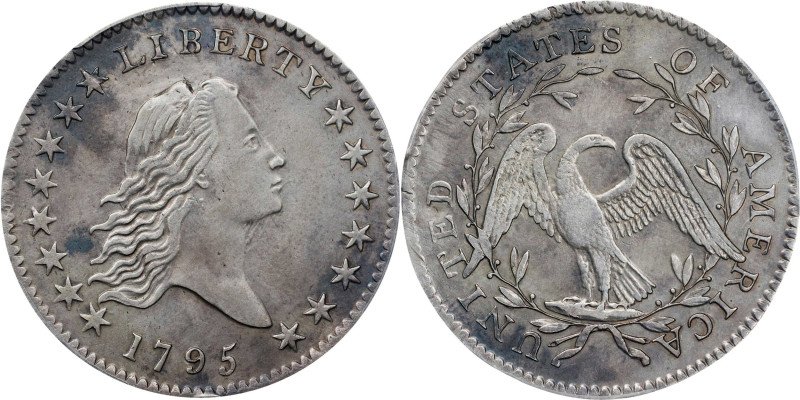 1795 Flowing Hair Half Dollar. O-117, T-3. Rarity-3. Two Leaves. EF Details--Rep...