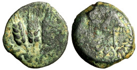 JUDAEA. Agrippa I (37-43) Prutah per Gerusalemme. Padiglione R/ Tre spighe. Hendin 120 AE RARO (g. 2,57) qBB