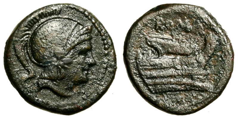 ANONIME (217-215 a.C.) Quartuncia (16 mm, g. 3.26) Testa di Roma elmata a ds. R/...