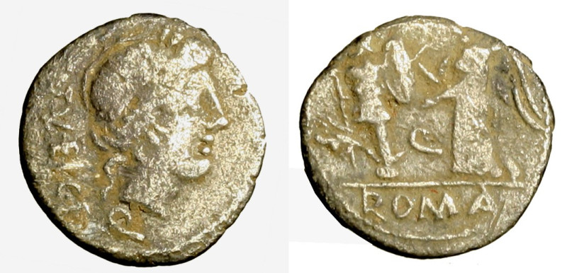 EGNATULEIA. C. Egnatuleius C. f. (97 a.C.) Quinario. Testa di Apollo a ds. R/ Vi...