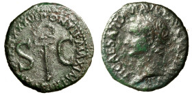 TIBERIO (14-37) Asse. Testa laur. a sn. R/ Caduceo alato tra S C. AE (g. 10,72 mm. 27) C. 21 var.; RIC 53. raro +BB