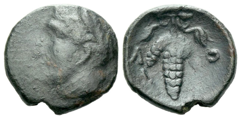 Locri Opuntii, Lokris Opuntii Bronze IV cent., Æ 14.00 mm., 2.43 g.
Head of Apo...