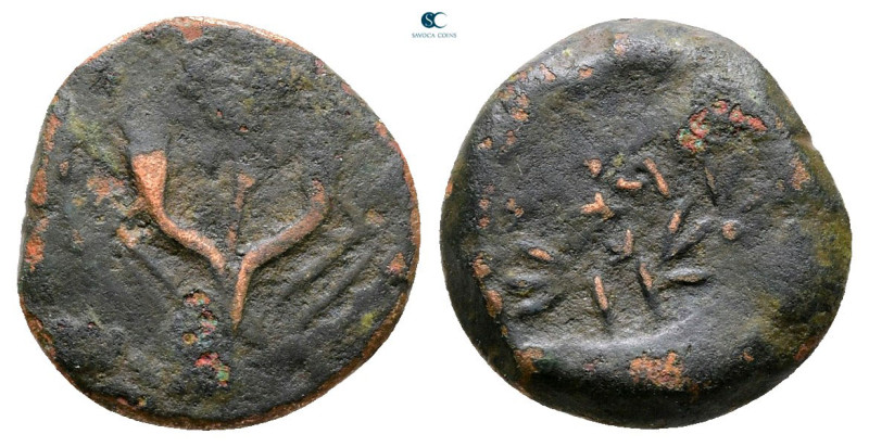 Judaea. Jerusalem. John Hyrcanus I 135-104 BC. 
Prutah Æ

13 mm, 1,68 g


...