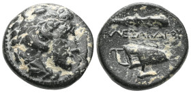 Greek
SELEUKID KINGS OF SYRIA. Seleukos I Nikator (312-281 BC). AE. Sardes.
Winged head of Medusa right.
Rev. Bull butting right. Control: Monogram KA...