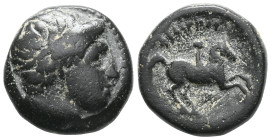 Greek
KINGS OF MACEDON. Philip II, 359-336 BC. Hemiobol (Bronze, 12 mm), uncertain mint in Macedon. Diademed head of Apollo to right. Rev. ΦΙΛΙΠΠΟΥ Ri...