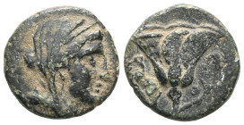 Greek
Islands off Caria. Rhodos circa 350-300 BC.
Bronze Æ