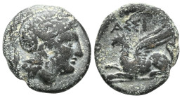 Greek
TROAS. Assos. 4th-mid 3rd century BC. (Bronze). Head of Athena to right, wearing crested Attic helmet with olive branch on the bowl. Rev. ΑΣΣΙ G...