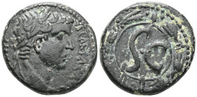 Syria. Antioch, Tiberius. (14-37 AD). AE Bronze. 
Laureate bust of Tiberius right.
Rev: SC in wreath.