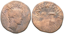 Augustus (27 BC-14 AD) - Axis - Head on the right. /R SC within circular writing C. 448, AE.