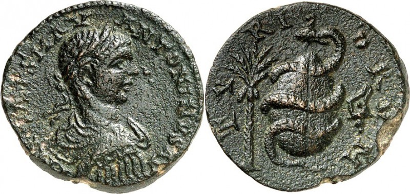 PHOINIKIEN. 
TYROS (Sur). 
Elagabalus 218-222. AE-Sesterz 28mm 13,7g. Büste mi...