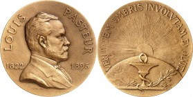 PERSONEN. 
MEDIZINER, darunter Sammlung Dr. Bösing. 
PASTEUR, Louis *1822 +1895 Villeneuve L'Etang. Medaille o.J.(1906) (v. V. Peter) Brb. n.r. // V...