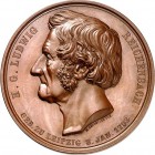 PERSONEN. 
NATURWISSENSCHAFTLER. 
REICHENBACH, Heinrich Gottlieb Ludwig *1793 +1879. Medaille 1873 (v. M. Barduleck) a.d. 80. Geb. Kopf im Profil n....