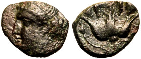Cyprus, Paphos, Timocharis Æ14