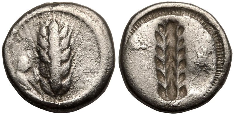 ANCIENT GREECE. LUCANIA, METAPONTION. 
Silver Stater, circa 530-510 BC. 
Obv: ...