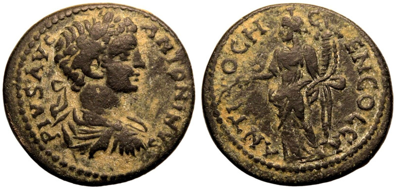 ROMAN PROVINCIAL. PISIDIA, ANTIOCH. Caracalla. 
Bronze AE21, AD 198-217. 
Obv:...