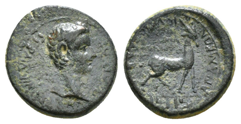 PHRYGIA. Apameia. Germanicus (Caesar, 15 BC-19 AD). Ae. Struck under Tiberius. G...