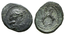PISIDIA. Sagalassus. Ae (Circa 1st century BC).
Obv: Laureate head of Zeus.
Rev: ΣAΓΑ.
Two rampant goats. 3,10gr