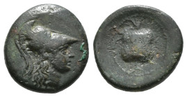 PAMPHYLIA. Side. Ae (1st century BC).
Obv: Helmeted bust of Athena right..
Rev:Pomegranate. 3,57gr