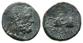 CARIA, Tabai. 2nd-1st centuries BC. Æ. Fim–, magistrate. Laureate head of Zeus right / Caps of the Dioskouroi. 3,82gr