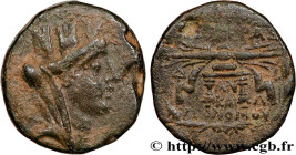SYRIA - SELEUKIS AND PIERIA - SELEUKEIA
Type : Unité 
Date : an 12 
Mint name / Town : Séleucie, Syrie 
Metal : bronze 
Diameter : 21  mm
Orientation ...