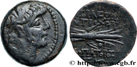 SYRIA - SELEUKID KINGDOM - ANTIOCHUS IX CYZICENUS
Type : Chalque 
Date : an 200 
Mint name / Town : Antioche, Syrie 
Metal : copper 
Diameter : 19  mm...