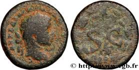 ELAGABALUS
Type : Dupondius 
Date : c. 218-219 
Mint name / Town : Antioche, Syrie, Séleucie et Piérie 
Metal : copper 
Diameter : 20  mm
Orientation ...