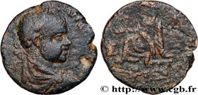 SEVERUS ALEXANDER 
Type : Tetrassaria 
Date : c. 222-235 
Mint name / Town : Édesse, Mésopotamie 
Metal : copper 
Diameter : 25  mm
Orientation dies :...