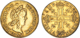LOUIS XIV le Grand (1643-1715)
1/2 louis d'or à la croix & à la mèche longue
1646 A - SUP 50 (SUP-)
Très Rare !! - légèrement brossé


DR 208, D...