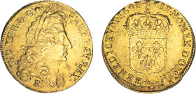 LOUIS XIV le Grand (1643-1715)
Double louis d'or à l'écu
1691 I - TTB 40 (TTB+)
rf - Très Rare !!, lég. nettoyé


DR 235, D 1434-1434a, GR 259, ...