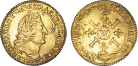 LOUIS XIV le Grand (1643-1715)
Double louis d'or aux 4 L
169. W - TTB 35 (TTB)
rf - Très Rare !!, léger nettoyage


DR 243, D 1439-1439a, GR 260...