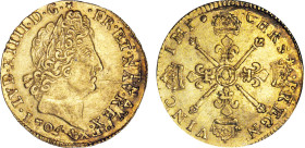 LOUIS XIV le Grand (1643-1715)
Louis d'or aux insignes
1704 O - TTB 45 (TTB++)
rf - Très Rare !!


DR 251, D 1446-1446a, GR 254, KM# 365, Fr# 43...