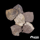 Bolivia, Potosi. Lote de seis monedas de plata a catalogar: ½ Real (macuquinas).